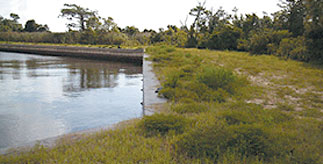 seawall repair