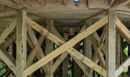 A cross-section view of a timber pile supporting a structure.